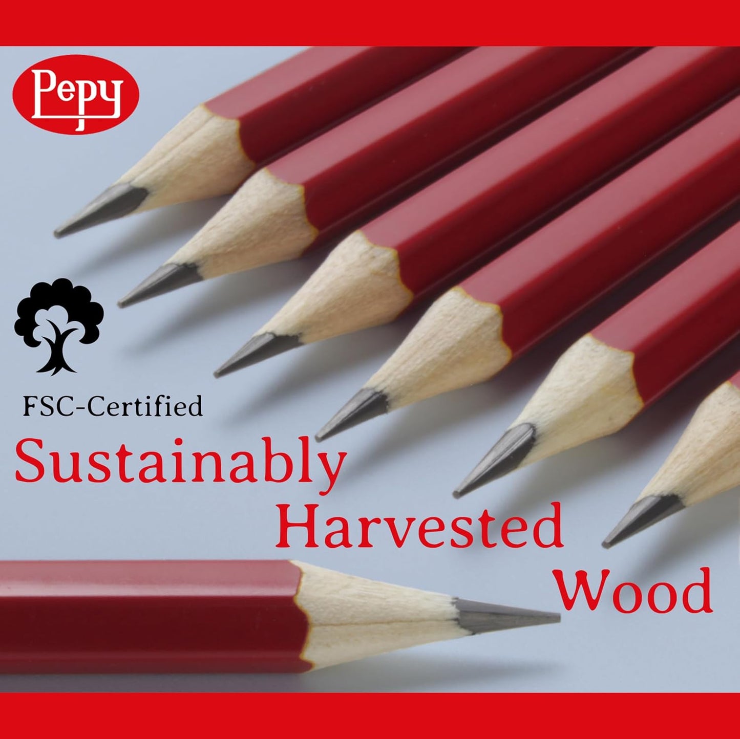 Pepy Graphite Professional Drawing Pencils - Set of 12 B Pre-Sharpened Black Lead Pencils; Perfect for Drawing, Sketching and Shading, Graphic and Fine Art