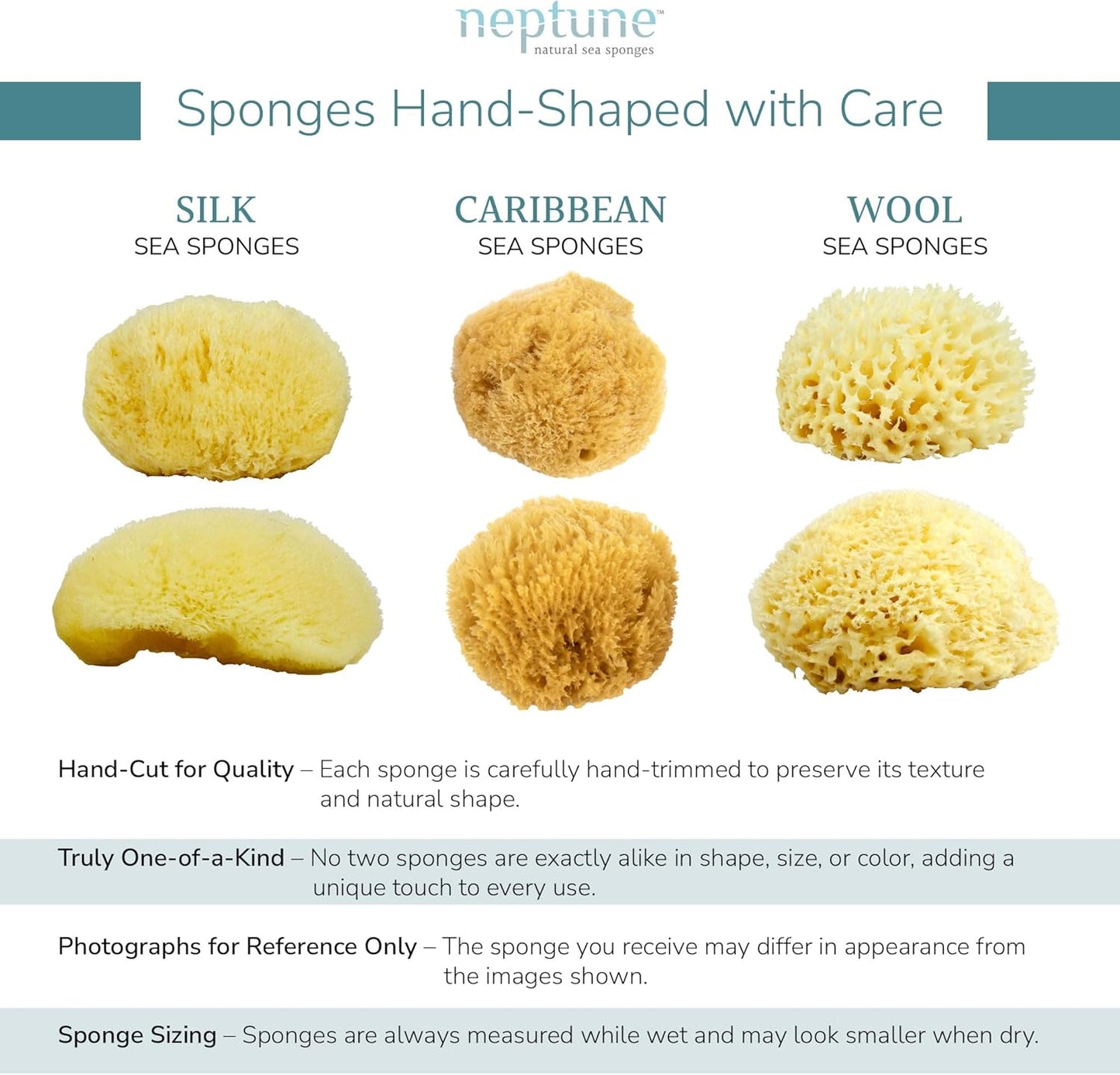 Neptune Caribbean Sea Sponge, Hand Cut, Large, Approx. 6-7 inches
