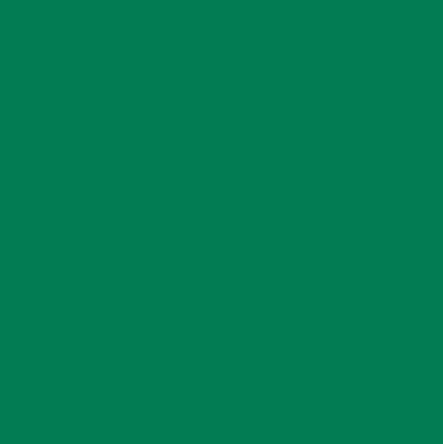 Ant Smart Adhesive Permanent Vinyl Compatible with Cricut Explore and Maker Series Without Cutting Mats, Create DIY Projects, Decals, Stickers & More (Green, 13inch x 100ft)