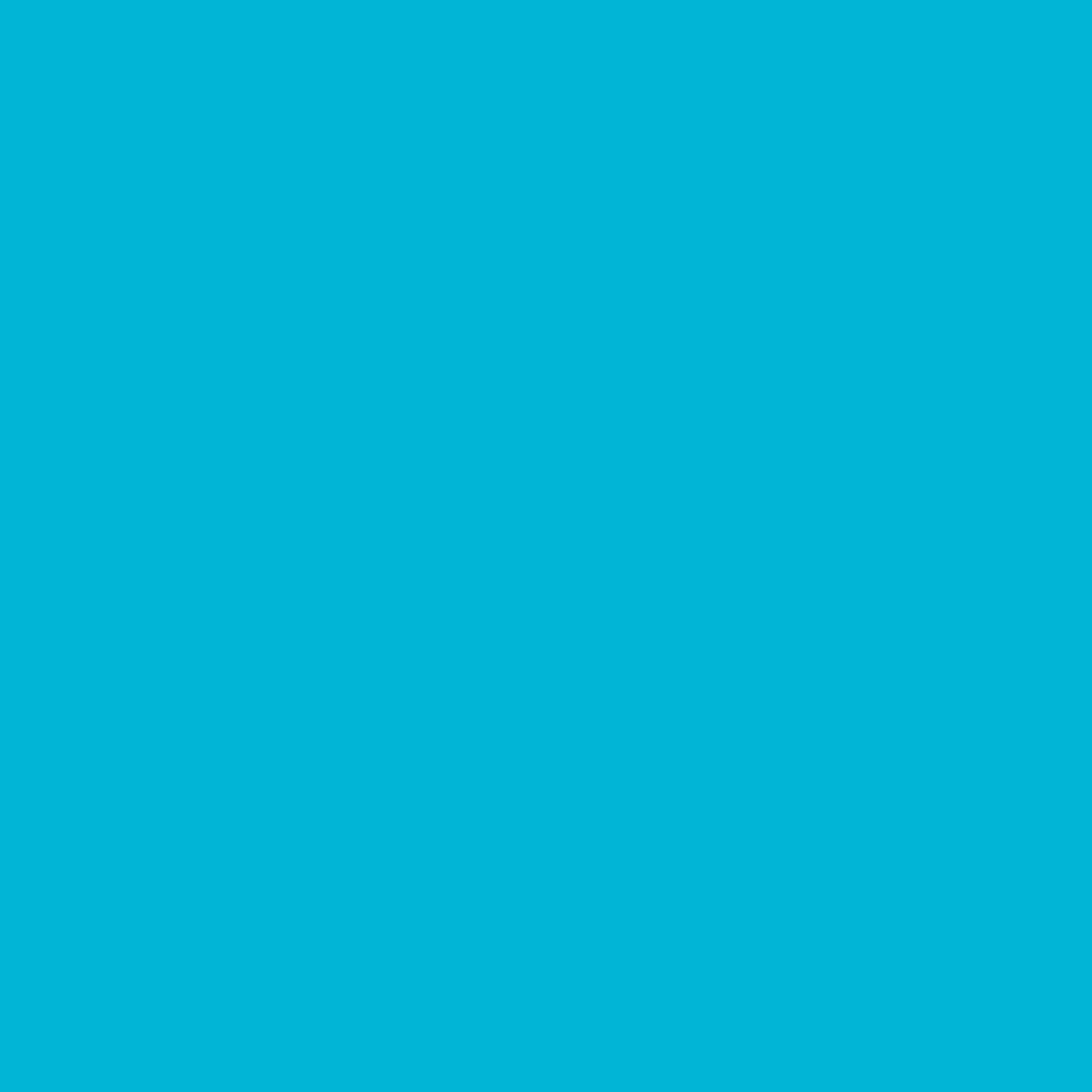 Ant Smart Adhesive Permanent Vinyl Compatible with Cricut Explore and Maker Series Without Cutting Mats, Create DIY Projects, Decals, Stickers & More (Light Blue, 13inch x 100ft)