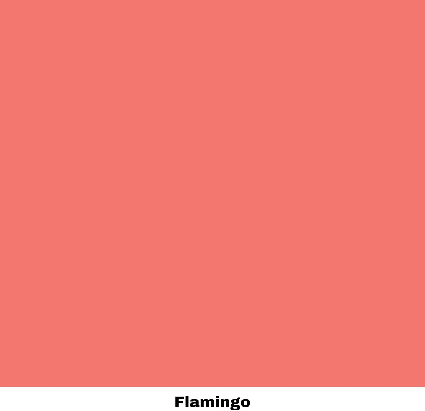 Dixie Belle Paint Company Chalk Finish Furniture Paint - Flamingo (4oz) - Matte Bright Coral Chic Chalk Mineral DIY Furniture Paint