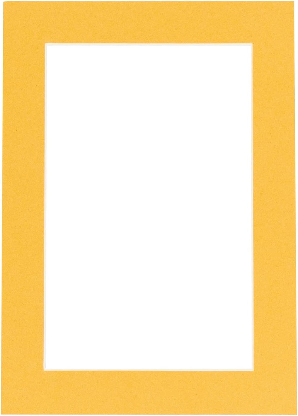 Pack of Ten Acid Free 8x10 Mats Bevel Cut for 6x8 Photos - Topaz Orange Precut Matboards With Backing Boards and Self Seal Photo Mat Bags For Pictures, Photos, Framing - 4-ply Thickness
