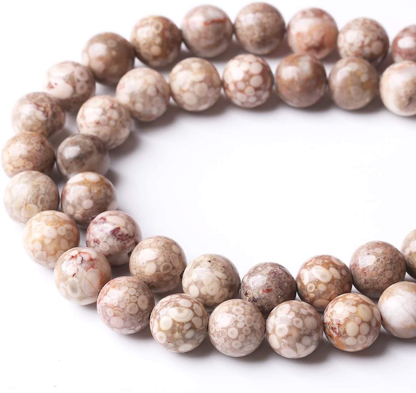 48PCS 8MM Natural Flowery Cowry Fossil Stone Beads Energy Healing Beads for DIY Jewelry Bracelet Necklace Making for Jewelry Making15Inch