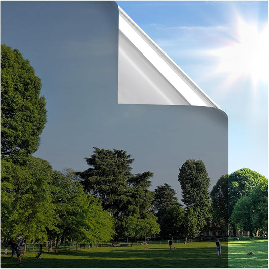 rabbitgoo Window Privacy Film One Way Window Tint for Home, Removable Reflective Heat Sun Blocking Anti UV Glass Door Covering, Mirror Tinting Film House Office, 17.5 in X 9.8 Feet, Black Silver