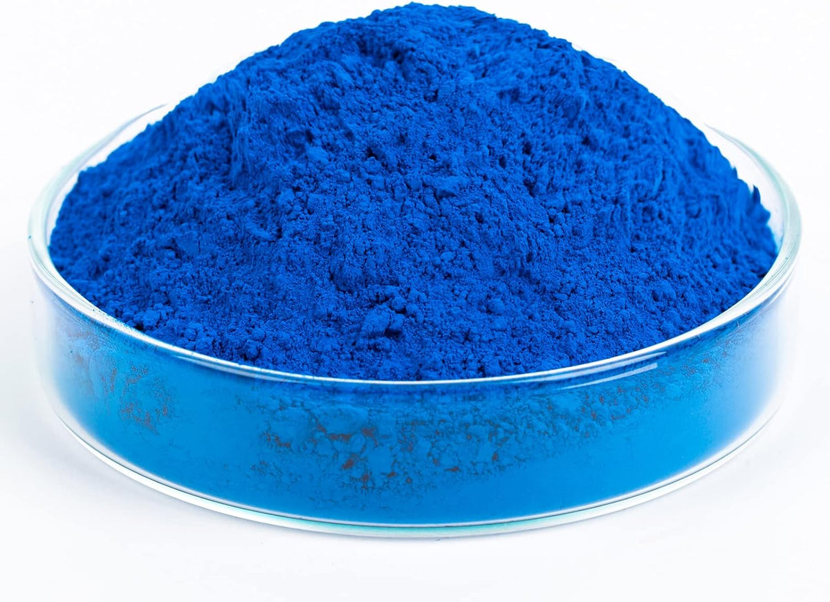 GOODTAKE Concrete Pigment, Blue Iron Oxide Pigment Powder, Concrete Cement Dye Coloring Powder for Brick, Tile, Clay, Lime, Mortar, Grout, Plaster, Paint (Blue, 20 oz)