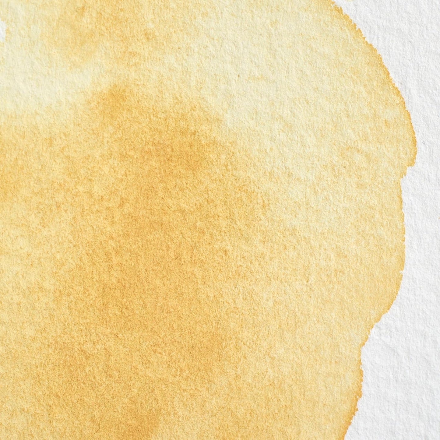 Winsor & Newton Professional Water Colour Paint, 0.47-oz Tube, Naples Yellow