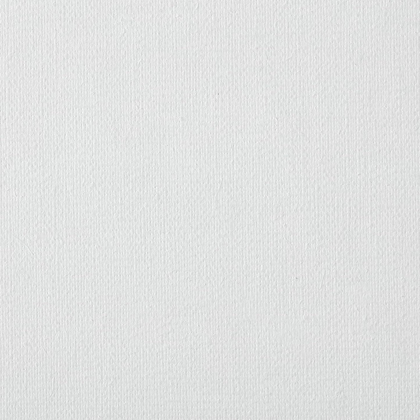 Centurion Deluxe Professional Oil Primed Linen Stretched Canvas, 11oz Linen, 30x30 - Box of 6, 0.67" Deep Canvases, Kiln-Dried Stretchers, Back Stapled, Premium Medium Weight Canvas for Oil Paintings
