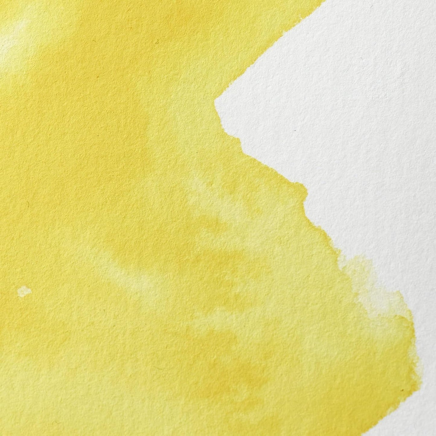 Winsor & Newton Professional Water Colour Paint, Half Pan, Cadmium-Free Lemon