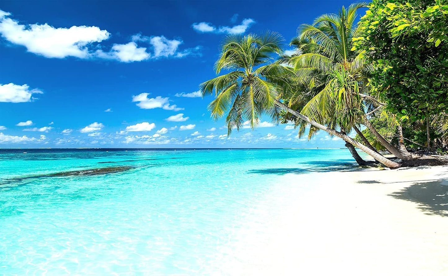 Palm Tree Wall Mural Tropic Paradise Beach Seascape Murals Wallpaper for Walls Bedroom Living Room Bedroom TV Background Kids Room Decoration（Not Peel and Stick）