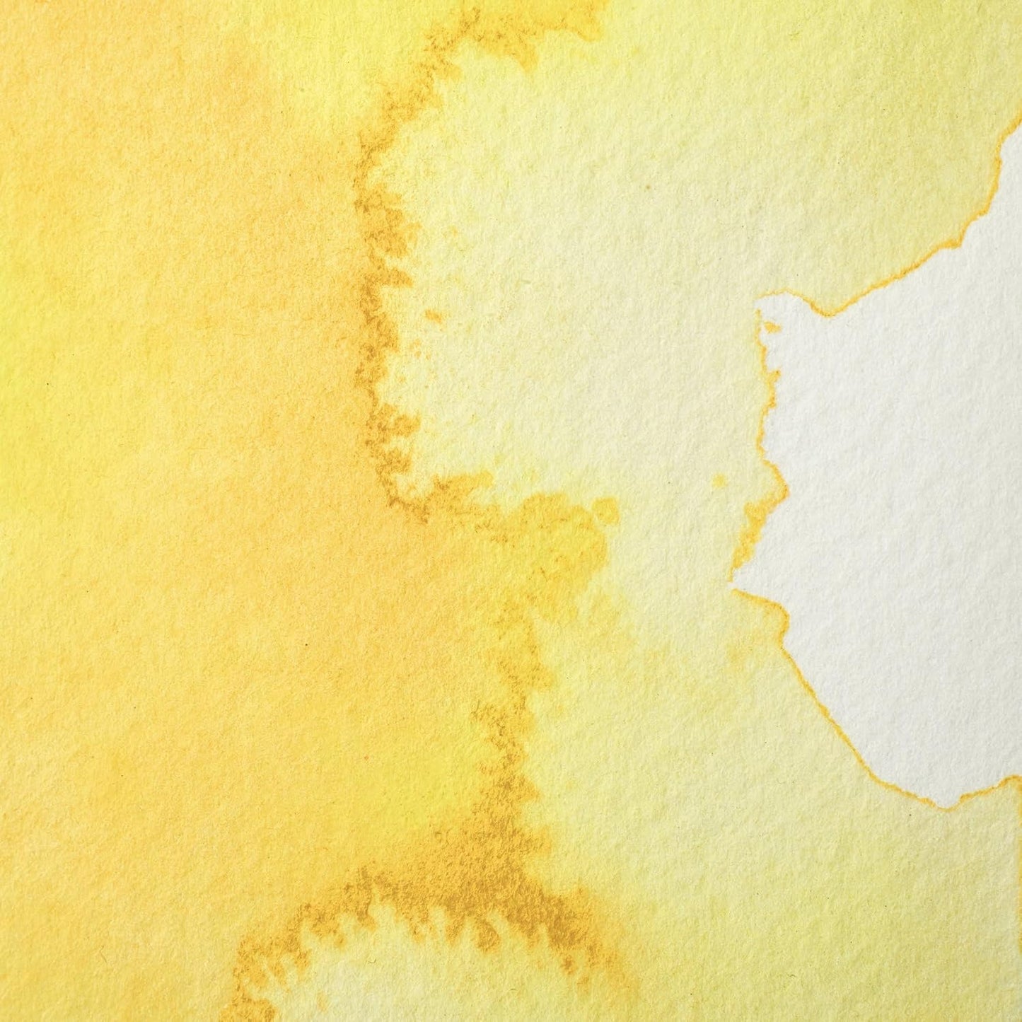 Winsor & Newton Professional Watercolour, Revival Collection, Half Pan, Aureolin Hue