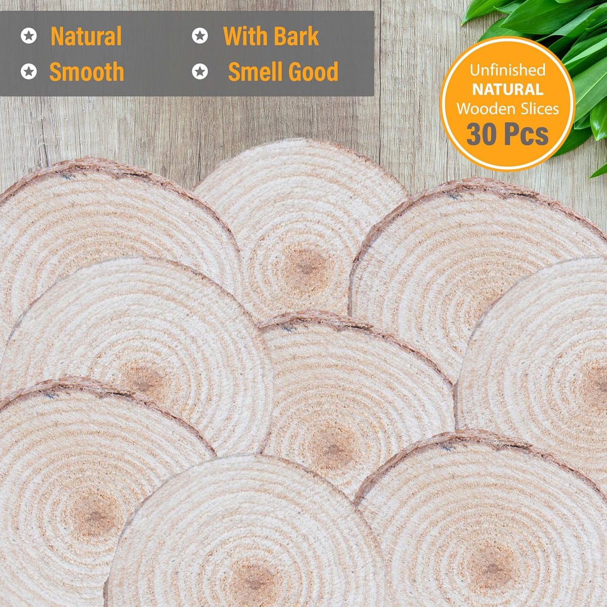 Wood Slices in Mesh Bag for Crafts DIY Projects Rustic Wedding Decorations Ornaments Coasters Tags Home Decor (White Washed)