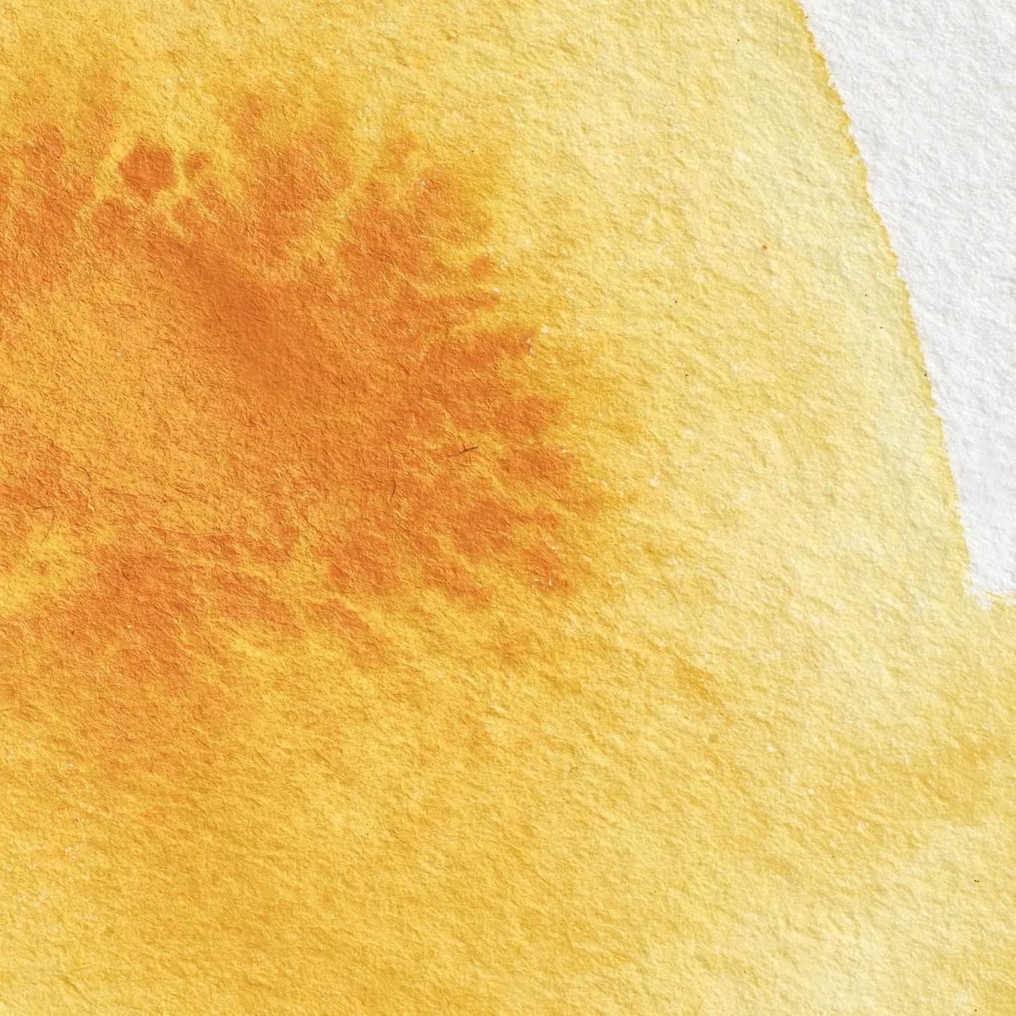 Winsor & Newton Professional Water Colour Paint, Half Pan, Cadmium Yellow Deep